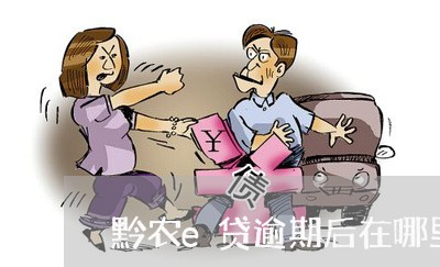 黔农e贷逾期后在哪里还利息 黔农e贷逾期后在哪里还利息