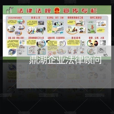 鼎湖企业法律顾问 鼎湖企业法律顾问