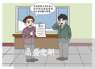 鼎盛逾期