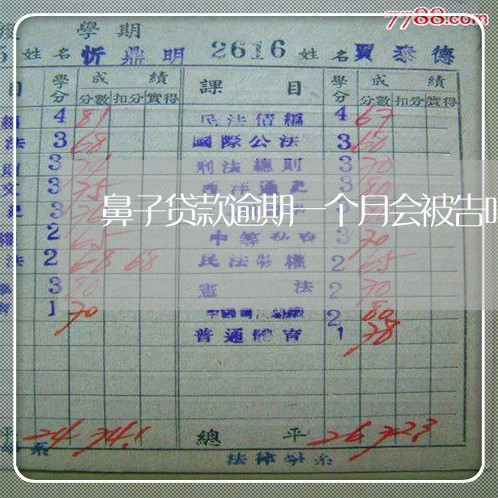 鼻子贷款逾期一个月会被告吗 鼻子贷款逾期一个月会被告吗