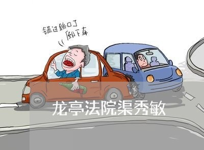 龙亭法院渠秀敏