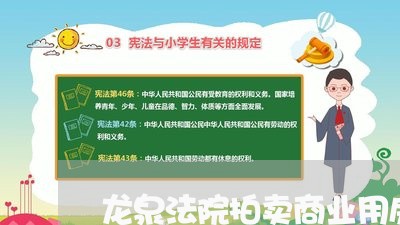 龙泉法院拍卖商业用房