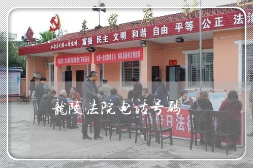 龙陵法院电话号码