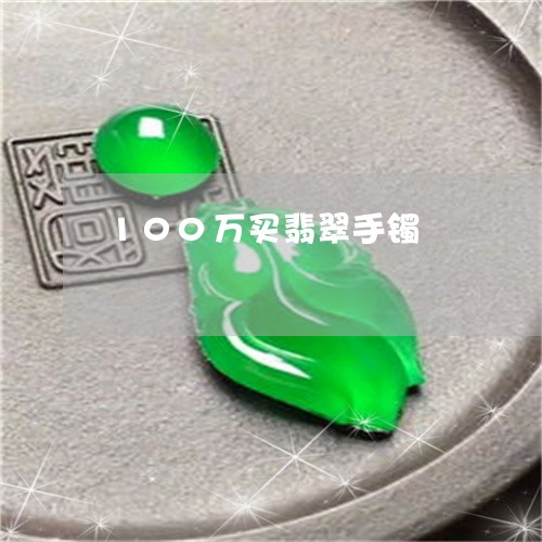 100万买翡翠手镯/2023060274714
