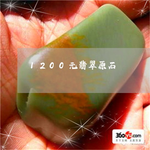 1200元翡翠原石/2023060248169