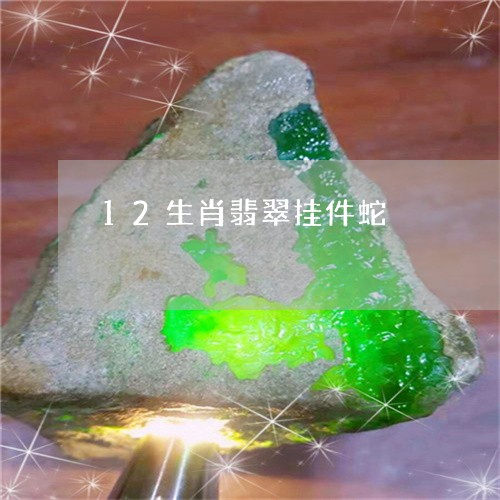 12生肖翡翠挂件蛇/2023060236148