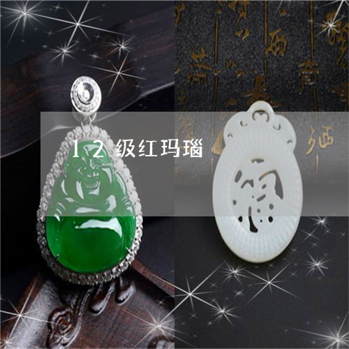 12级红玛瑙/2023032062581 12级红玛瑙/2023032062581