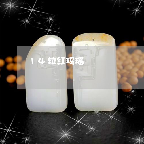 14粒红玛瑙/2023032171606
