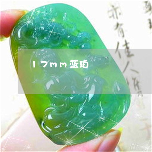 17mm蓝珀/2023032077240 17mm蓝珀/2023032077240