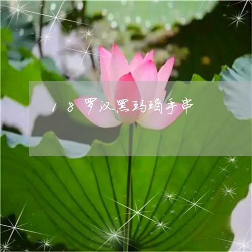 18罗汉黑玛瑙手串/2023060204625