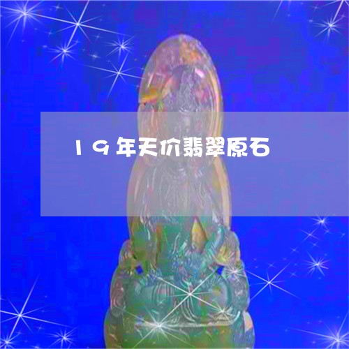 19年天价翡翠原石/2023060153150