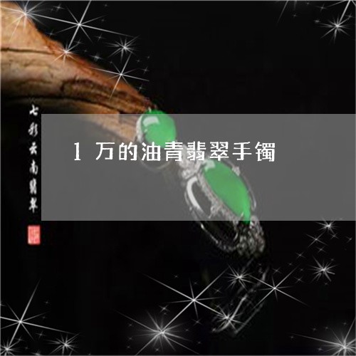 1万的油青翡翠手镯/2023060132484