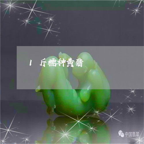 1斤糯种黄翡/2023032058370 1斤糯种黄翡/2023032058370