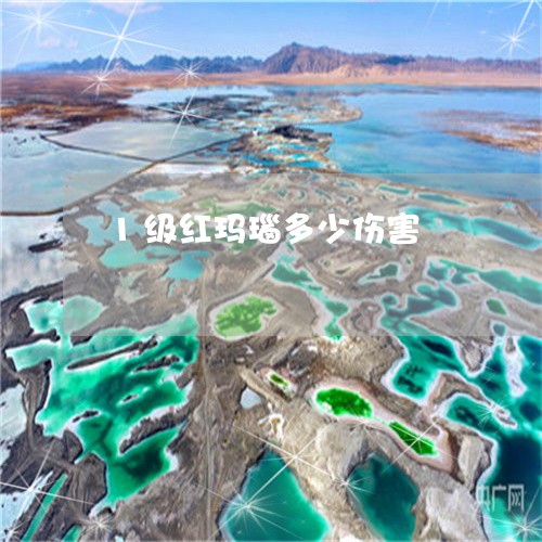 1级红玛瑙多少伤害/2023042550259 1级红玛瑙多少伤害/2023042550259