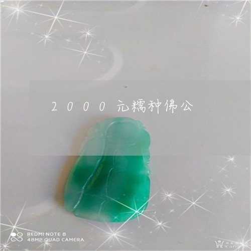 2000元糯种佛公/2023060161502