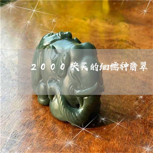 2000块买的细糯种翡翠/2023062849370