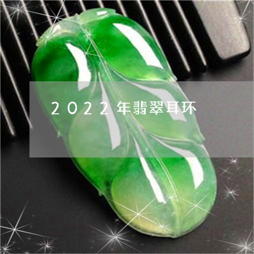 2022年翡翠耳环/2023060215158