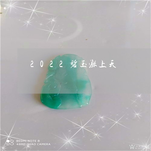 2022碧玉涨上天/2023060247373