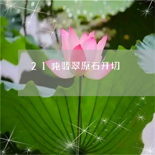 21吨翡翠原石开切/2023060140483