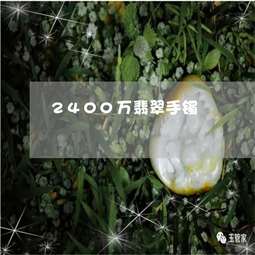 2400万翡翠手镯/2023060172715