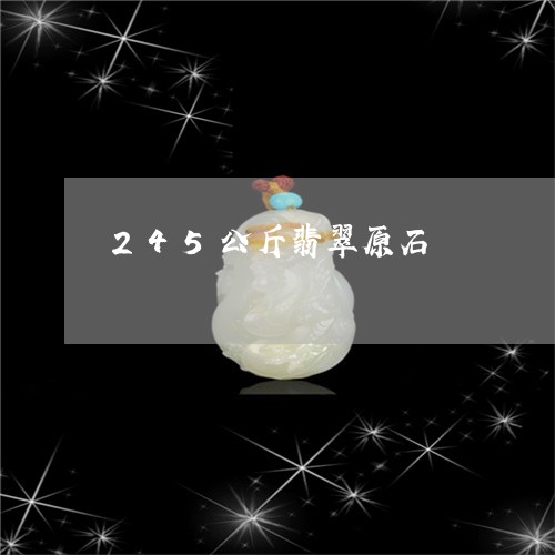 245公斤翡翠原石/2023060117259