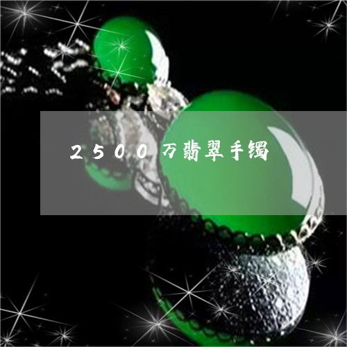 2500万翡翠手镯/2023060110503