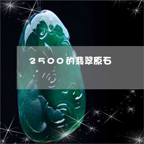 2500的翡翠原石/2023060196157