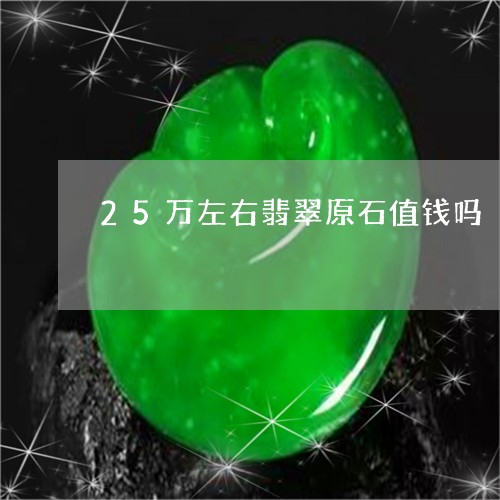 25万左右翡翠原石值钱吗/2023071106058