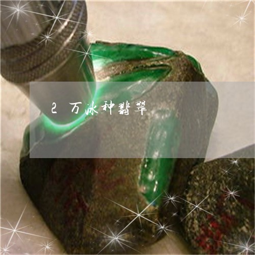 2万冰种翡翠/2023032104926
