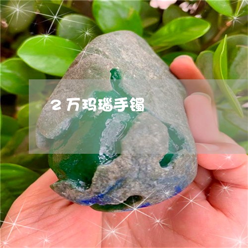 2万玛瑙手镯/2023032147269 2万玛瑙手镯/2023032147269