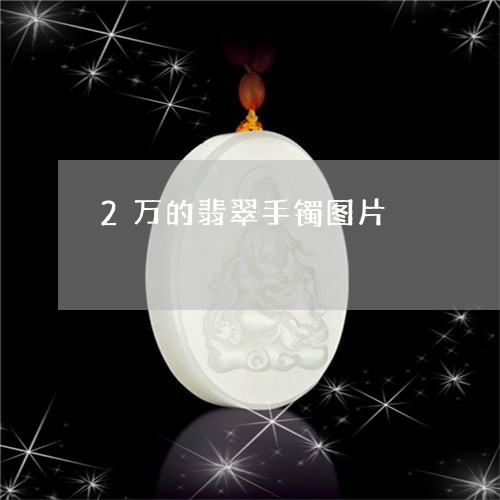 2万的翡翠手镯图片/2023060244047