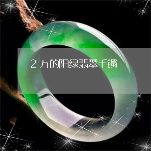 2万的阳绿翡翠手镯/2023060258280