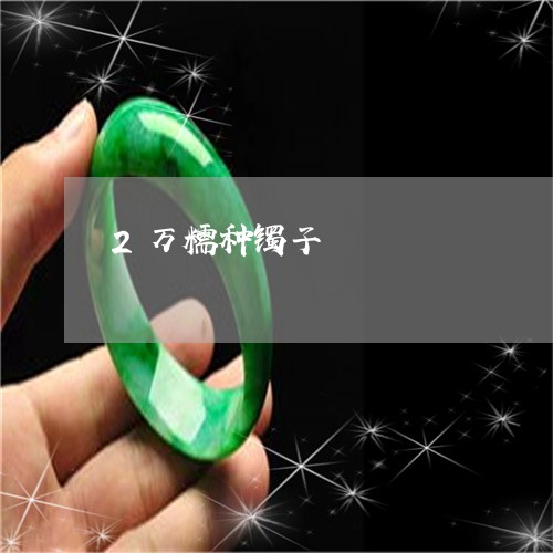 2万糯种镯子/2023032152595 2万糯种镯子/2023032152595