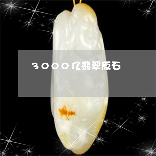 3000亿翡翠原石/2023060238379