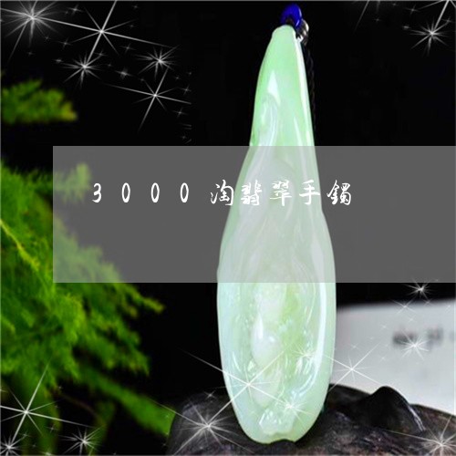 3000淘翡翠手镯/2023061672814