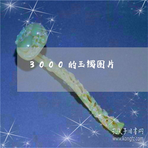 3000的玉镯图片/2023060261717
