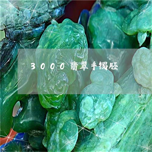 3000翡翠手镯胚/2023061664946