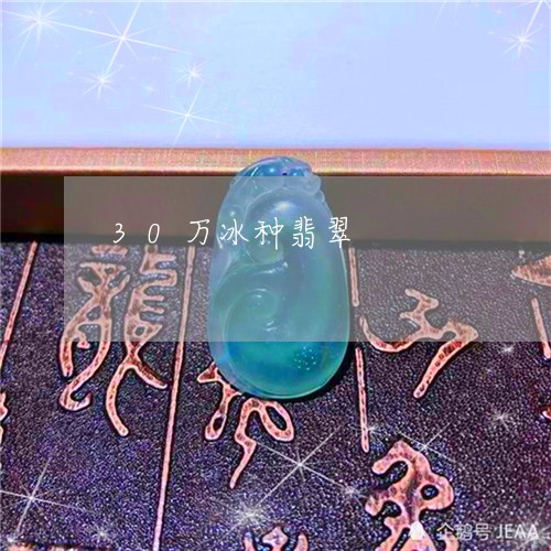 30万冰种翡翠/2023022594067