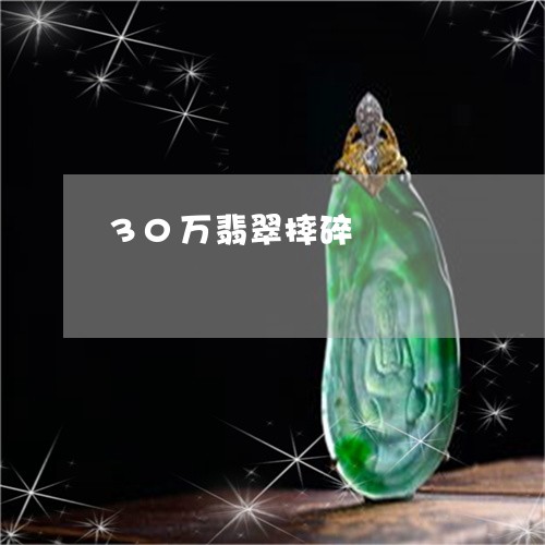 30万翡翠摔碎/2023022550414