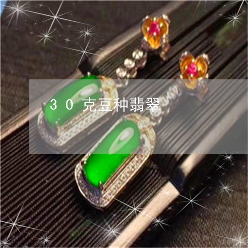 30克豆种翡翠/2023022520492