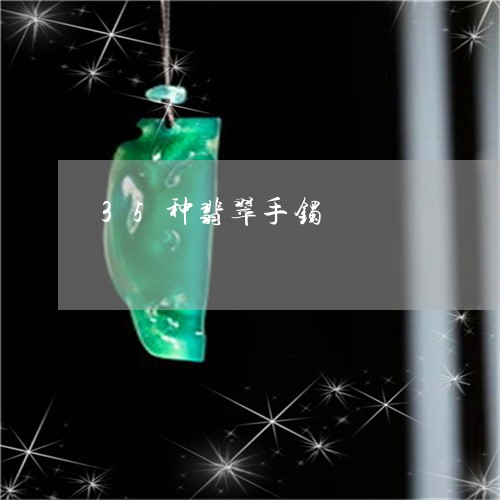 35种翡翠手镯/2023022651615 35种翡翠手镯/2023022651615