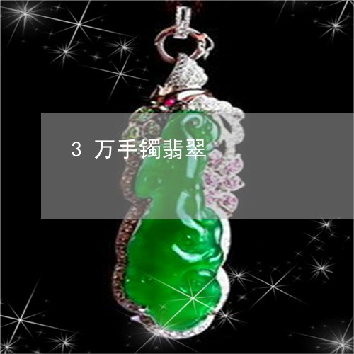 3万手镯翡翠/2023032158359 3万手镯翡翠/2023032158359