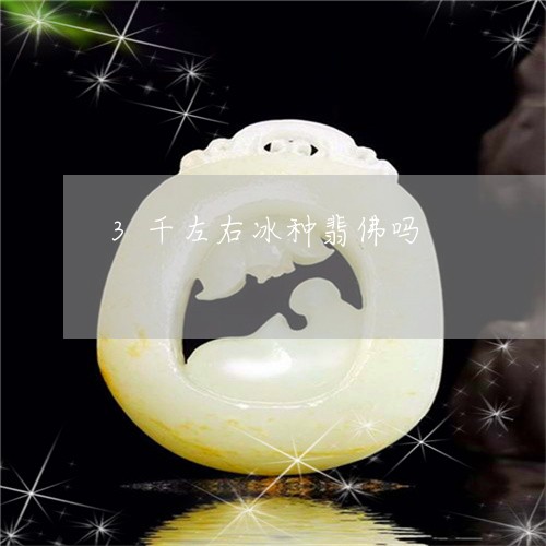 3千左右冰种翡佛吗/2023042549260