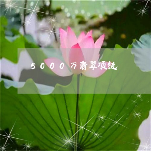 5000万翡翠项链/2023060223268