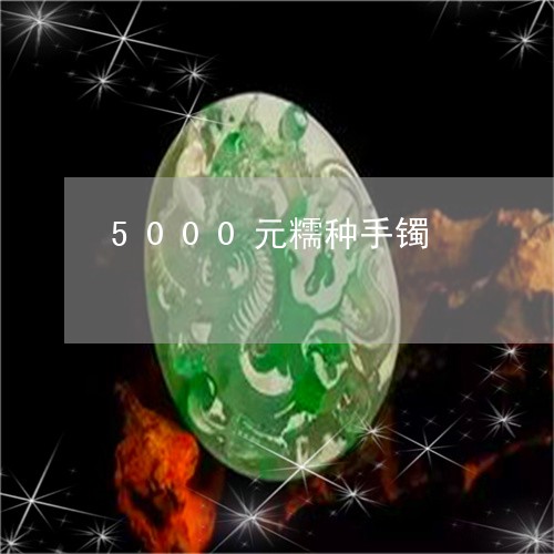 5000元糯种手镯/2023060296958