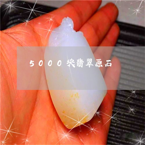 5000块翡翠原石/2023060271027