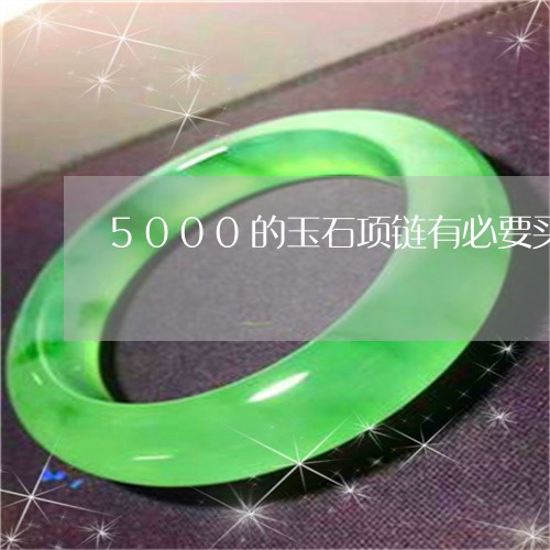 5000的玉石项链有必要买吗/2023071266148