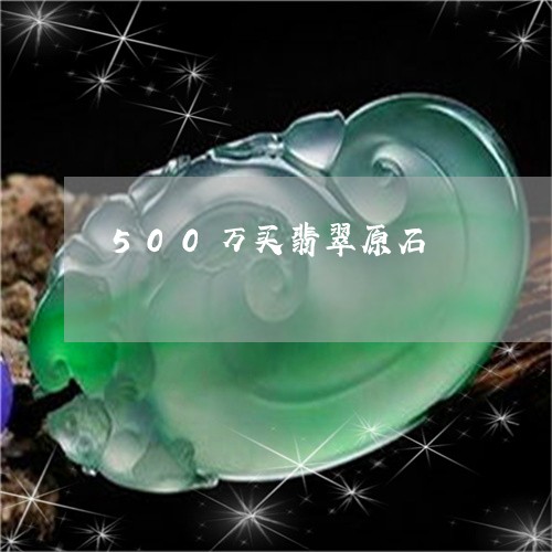 500万买翡翠原石/2023060249371