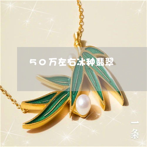 50万左右冰种翡翠/2023042528350 50万左右冰种翡翠/2023042528350