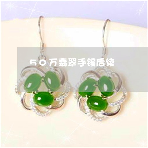 50万翡翠手镯后续/2023042595948